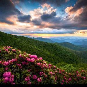 Meet your Posher, Seemab